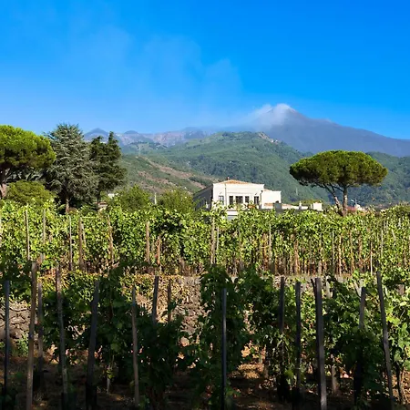 Bed & Breakfast Quinto Arco Zafferana Etnea